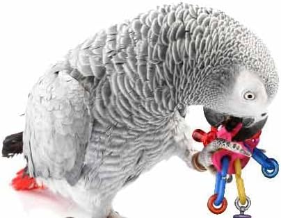 Super Bird Creations Sb591 Ufo Bird Foot Toy, Medium Bird Size, 5" X 2"Sb591