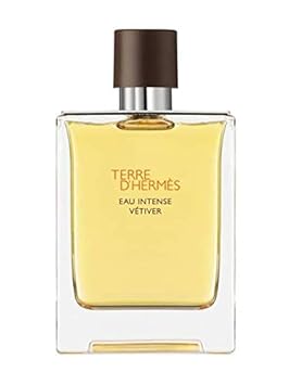 Hermes Terre D'Hermes Eau De Toilette Spray For Men, 3.4 Ounce (Plain Box) : Beauty & Personal Care