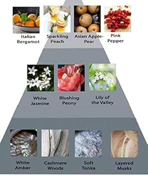 Perry Ellis Eau De Parfum Spray For Women, 360 Coral, 3.4 Ounce, Multicolor