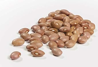 Camellia Brand Dried Pink Beans, 1 Pound (Pack of 6) : Grocery & Gourmet Food