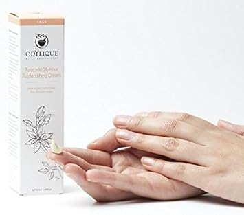 Odylique - Natural Face Moisturiser – Avocado 24 Hour Replenishing Cream - With Vitamin Rich Avocado + Rejuvenating Frankincense – For Dry Skin (50Ml)