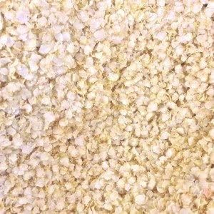 Wholefood Earth Organic Quinoa Flakes – 1 Kg | Gmo Free | Vegan | Source Of Fibre | Certified Organic