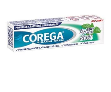 Corega Denture Adhesive Fresh Mint : Health & Household