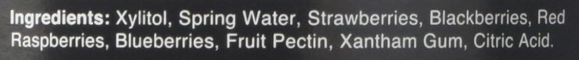 Xyloburst Sugar Free Mountain Berry Xylitol Jam Keto Friendly & Gluten