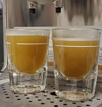 White Coffee - 2Lb Bag Of White Coffee Beans Roasted By Poverty Bay Coffee Co, Ground White Coffee, Special Grind - What Is White Coffee (2Lb)