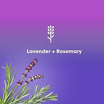 Crystal Deodorant Magnesium Solid Stick Natural Deodorant, Lavender + Rosemary, 2.5 oz (Pack of 2) : Beauty & Personal Care