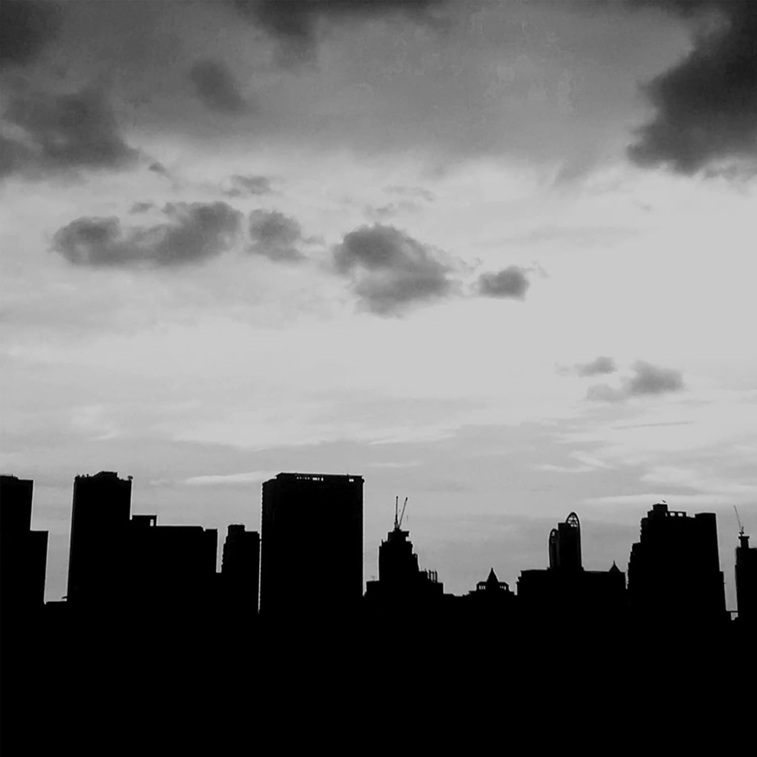 Derek Lam 10 Crosby | Blackout | Eau De Parfum | Warm Spicy And Floral Scent | Spray Perfume For Women | 5.9 Oz, White : Clothing, Shoes & Jewelry