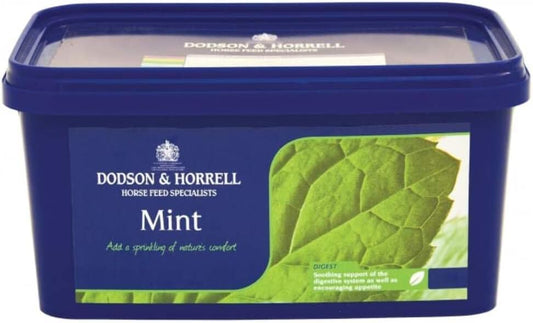Dodson & Horrell Mint Tub For Horses, 1 Kg