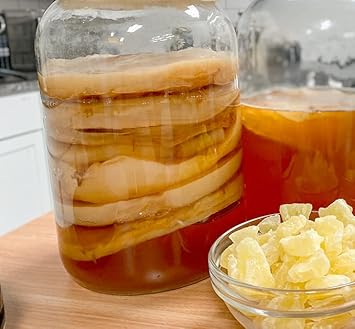Cultures For Health Endless Live Scoby Kombucha Starter | Diy Fizzy Fermented Tea Probiotic Drink | Start Right Away | Heirloom Culture Makes Limitless Batches | Dairy Free Gluten Free Vegan Superfood