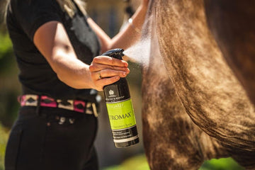 Carr & Day & Martin Citromax Insect Repellent Spray 500Ml