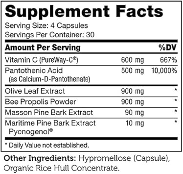 Zahler Immune Defense, Immune System Support, Certified Kosher, 120 Capsules : Health & Household