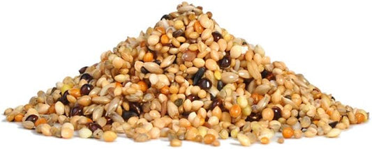 Rio Feed For Exotic Birds. Daily Feed, 500 G21100