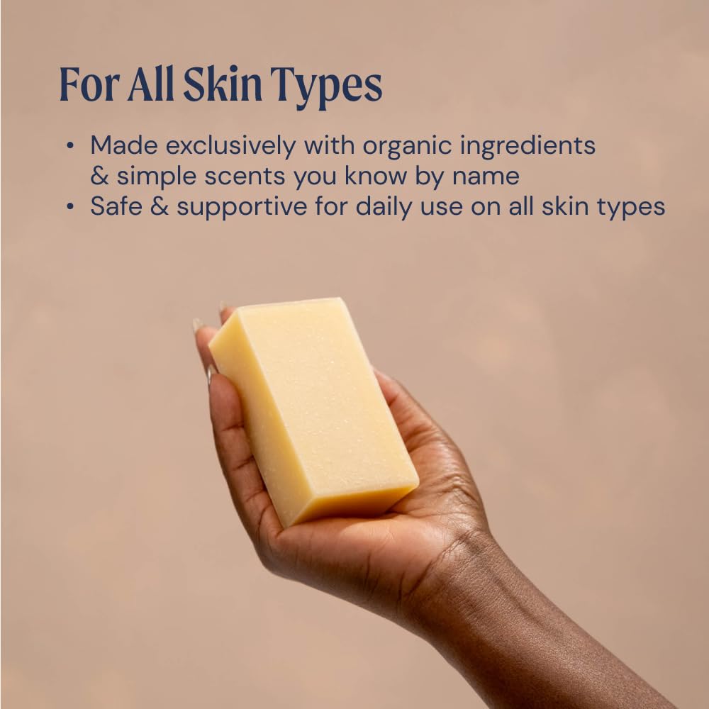 Ameo Life Charcoal Tea Tree Silver Soap With 30 Ppm Silver - Naturally Cleanses The Skin, 4 Oz Colloidal Silver Soap Bar For Women And Men : Beauty & Personal Care