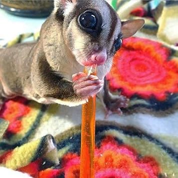 Honey Sticks - Watermelon Flavor (8 Sticks) - All-Natural Sweet Honey Treat - Made With Orange Blossom Honey - Sugar Gliders, Marmosets, Parrots, Canaries, Finches, Parakeets, Cockatiels, Other Birds…