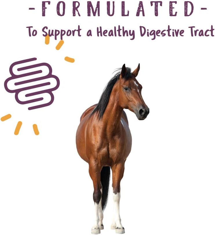 Manna Pro Corp 1000082 Manna Pro Opti-Zyme Microbial Digestive Supplement for Horse, 3-Pound, White : Pet Supplies