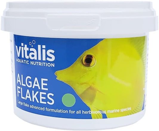 Vitalis Marine Algae Flakes Large 22G Fish Food
