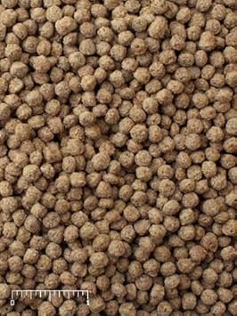 Mazuri | Exotic Gamebird Maintenance | Complete Game Bird Feed - 40 Pound (40 LB) Bag : Pet Supplies