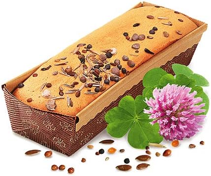 Rio Biscuits For All Birds With Healthy Seeds, 35 G22180