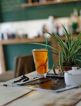 4C Powdered Drink Mix Cannisters, Lemon Tea, 28 Quarts, Family Sized Cannister, Thirst Quenching & Refreshing Flavors (Lemon Iced Tea, 66.1 Ounce (Pack Of 6))