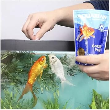 Aquarian Complete Nutrition, Aquarium Goldfish Food Pellets Also Suitable For Small Pond Fish, 284 G Bag