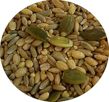 Tops`S All-In-One Parrot Seed And Soaking Mix - 1Lb