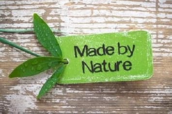 Amphora Aromatics Frankincense and Rose Moisturising Face Cream - Paraben Free (60ml) : Amazon.co.uk: Beauty