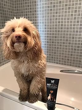 Watermans 4-in-1 Skin Calming Pet Shampoo for Dogs – Cleans, Conditions, Detangles, & Skin health with powerful bubblegum sent for smelly dogs - Pet Friendly Formula : Amazon.co.uk: Pet Supplies