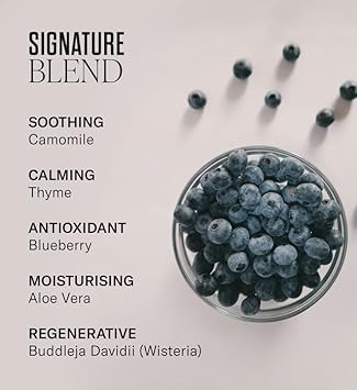 Mii Cosmetics Soft + Supple Hand Cream | Hydrating Hand Cream for Very Dry Hands, Hand Moisturiser for Dry Skin | Velvety Rich Hand Lotion with Nourishing & Lightweight Formula | 300ml : Amazon.co.uk: Beauty