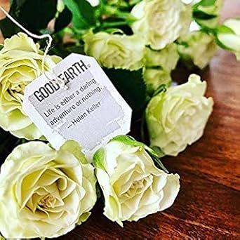 Good Earth Herbal Tea, Sweet & Spicy, Caffeine Free, Packaging May Vary, 18 Count, Pack Of 6