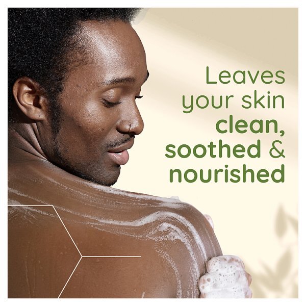 Aveeno Daily Moisturising Body Wash 500Ml