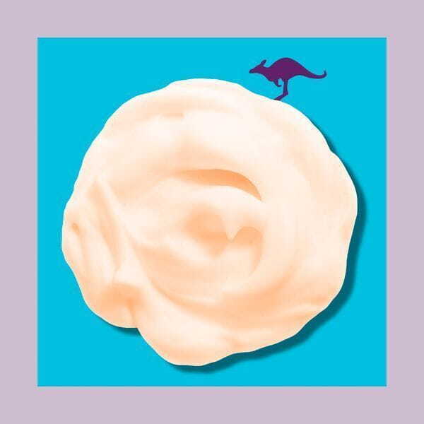 Aussie Shampoo Miracle Moist For Dry And Frizzy Hair 300Ml