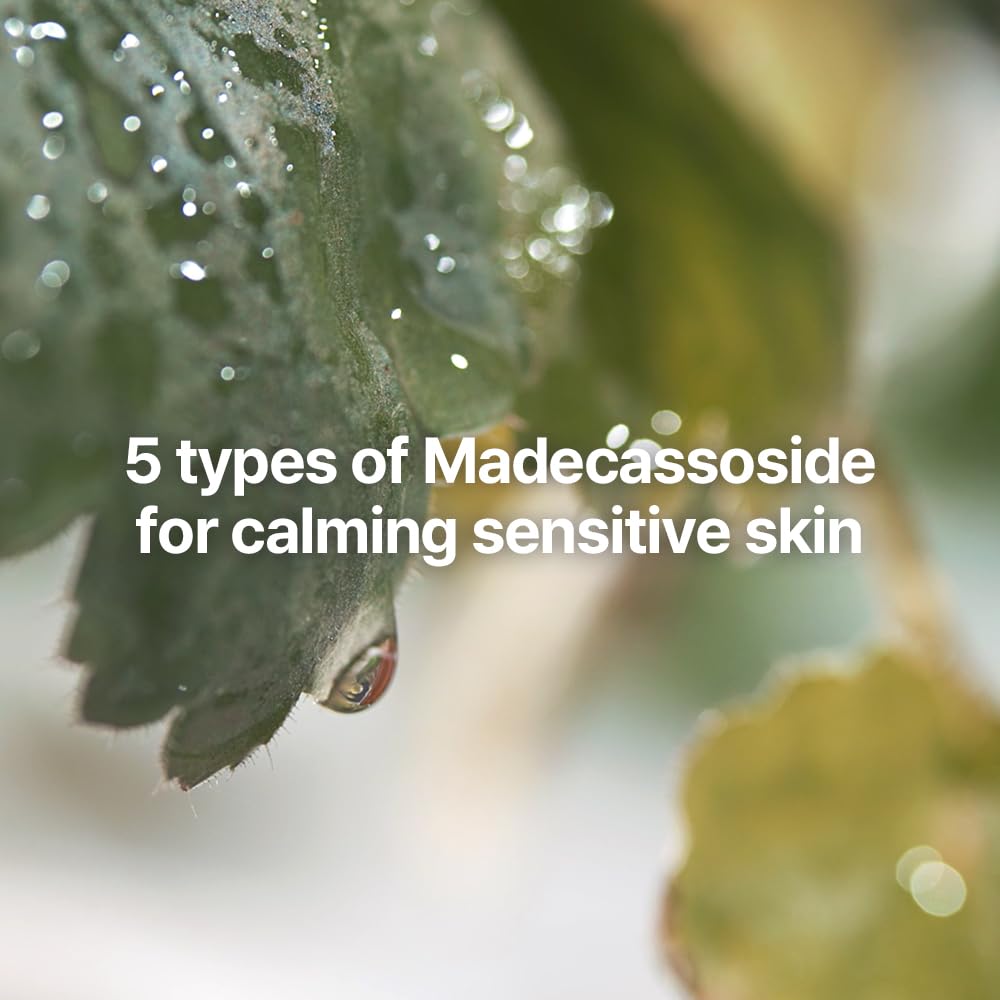 Pyunkang Yul Calming Line Gift Box Set - Korean Facial Skin Care Essential For Daily Moisturizing, Safe On Acne Prone & Sensitive Skin, Vegan & Cruelty Free : Beauty & Personal Care