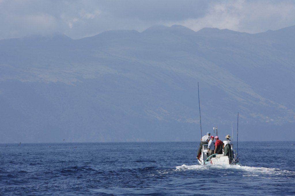 Atum Santa Catarina Santa Catarina Tuna Fillet In "Molho Cru"