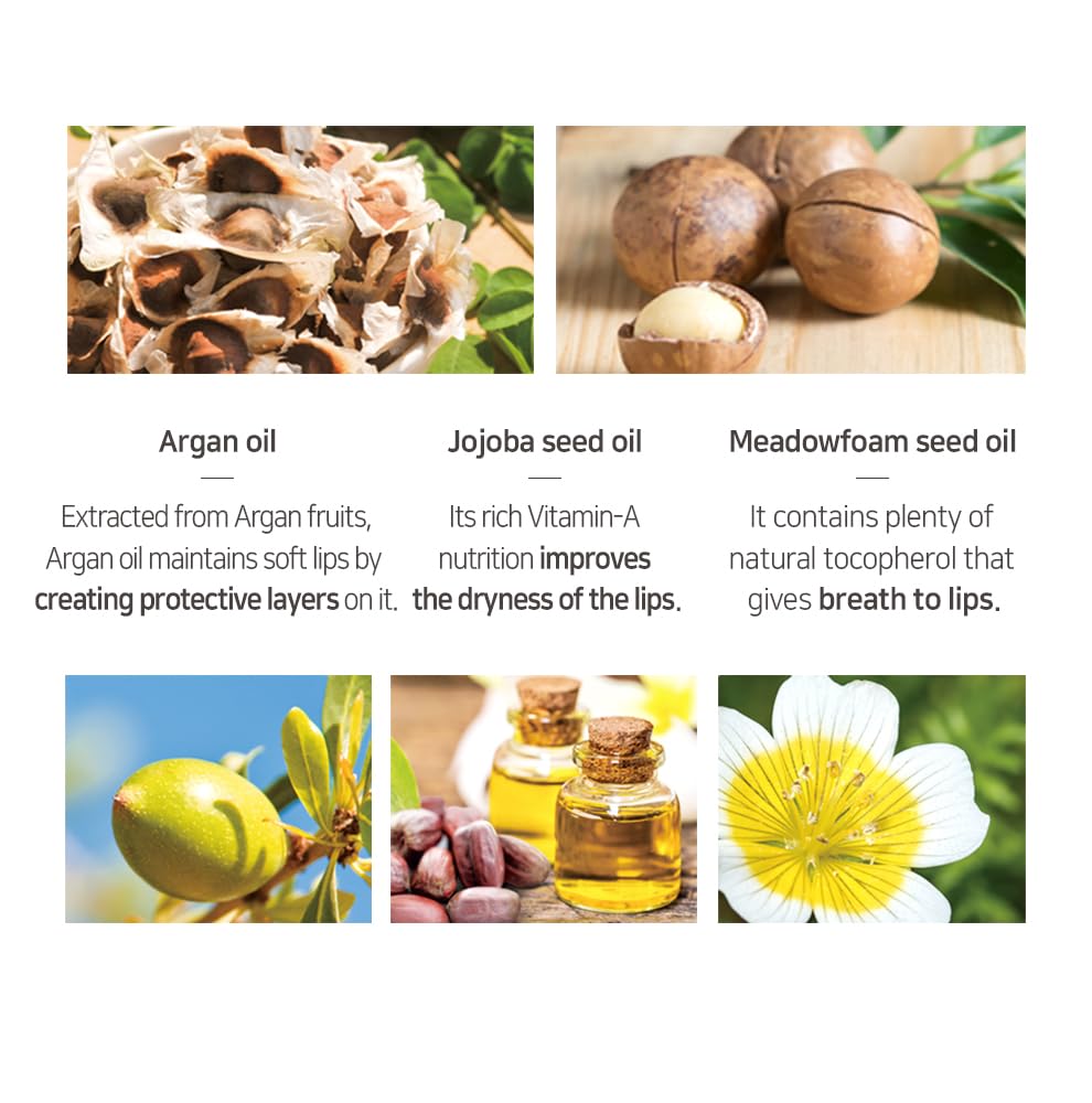 Petitfee Sleeping Lip Mask Sea Buckthorn Oil 0.53 Oz. | Day & Night Lip Balm, Overnight Lip Mask, Lip Treatment For Dry & Crack Lips, Deep Moisturizing With Vitamin E, Shea Butter, 6 Phyto Oil Complex