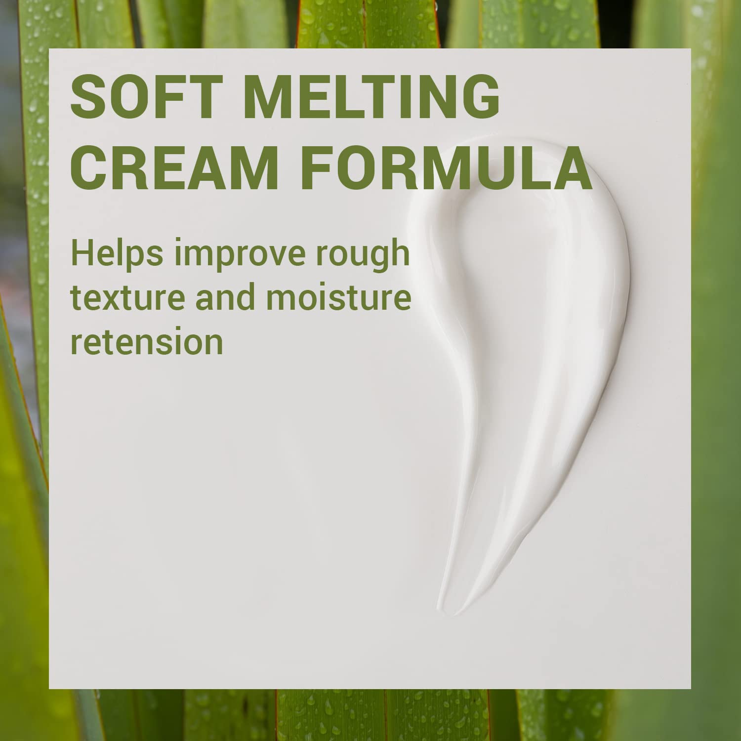 Thesaem Urban Eco Harakeke Cream 1.69Oz. β Vegan Face Moisturizer With Harakeke Extracts And Hyaluronic Acid - Soft Melting Texture Facial Cream For Hydration And Intense Nourishment : Beauty & Personal Care