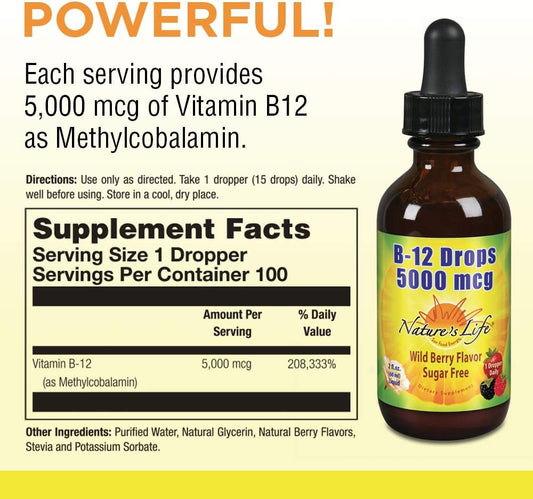 Nature'S Life B-12 Drops, Methlycobalamin 4 Oz (2 Fl Oz (Pack Of 1))