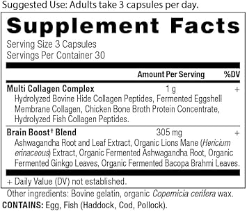 Ancient Nutrition Collagen Protein Brain Boost, Collagen Protein Capsules Brain Supplement For Reduced Joint Discomfort, Healthy Skin And Nails, 90 Ct
