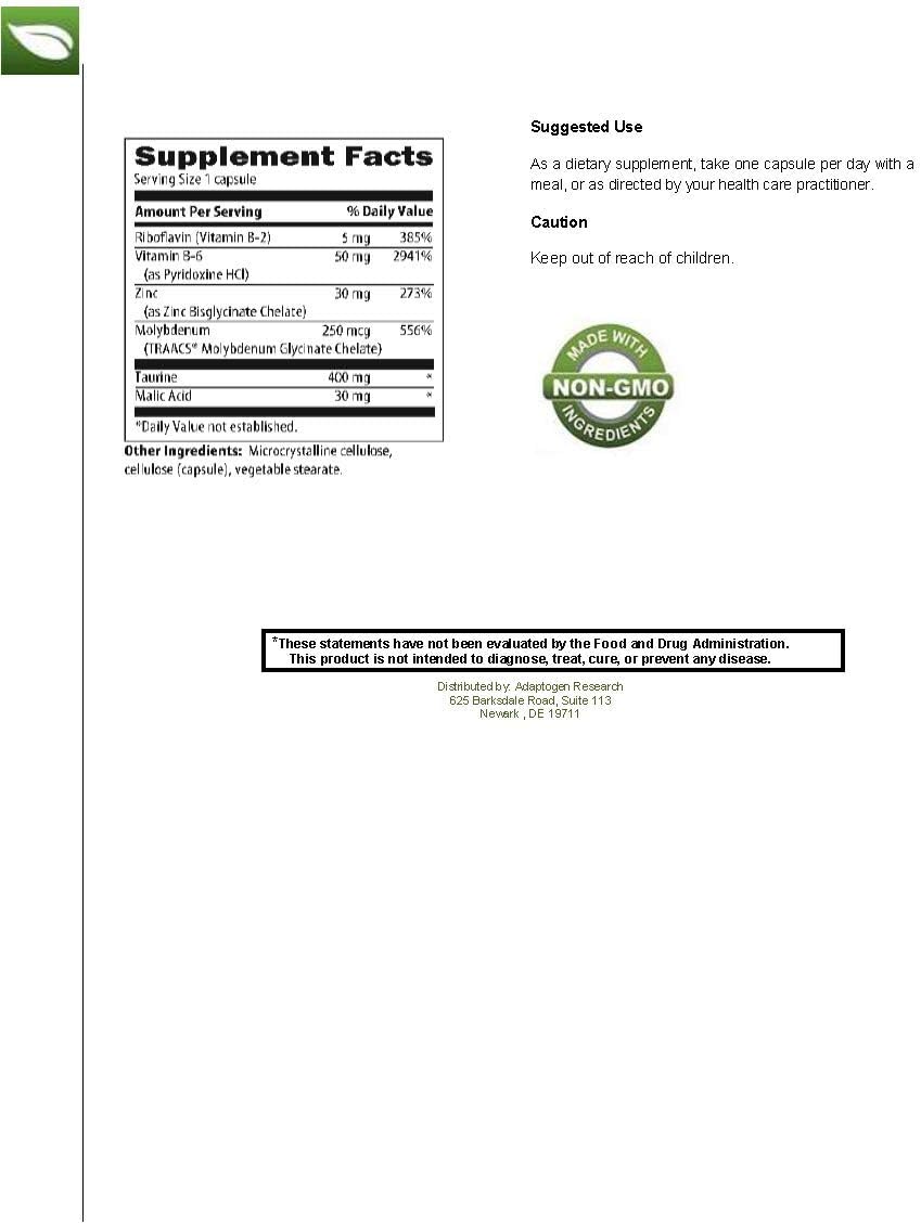 Zinc Plus | 30 Mg Of Zinc Bis-Glycinate Chelate & Riboflavin, Vitamin B6, Molybdenum, Taurine, Malic Acid | Supports Immune Function | 90 Vegetarian Capsules : Health & Household