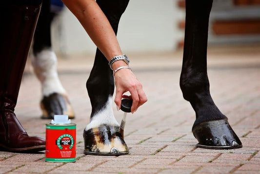 Carr & Day & Martin Tea Tree Hoof Oil 500Ml