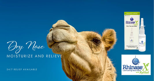 Rhinase X Mist 3 Pack With Dual Wetting Agents, Dual Salts And Now Xylitol To Offer The Best Option For A Healthy Moisturized Nose