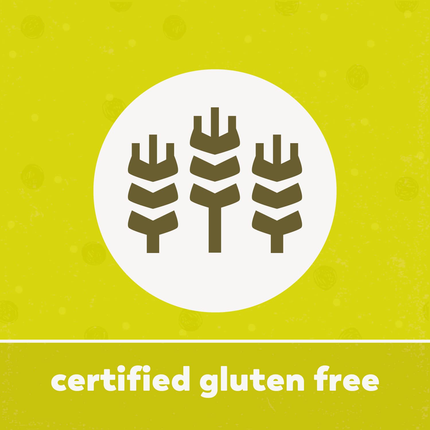 Yupik Organic Seeds/Kernels, Watermelon, 2.2 lb, Non-GMO, Vegan, Gluten-Free : Grocery & Gourmet Food