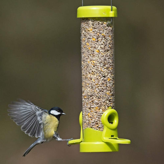 Jacobi Jayne Flo-S1G Bird Feeder, Lime, SmallFlo-S1G