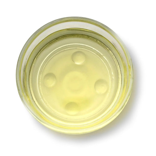 8 Oz 100% Natural Geranium Massage Oil In Jojoba Blend - Pelargonium Graveolens - Hohoba - Simmondsia Chinenis