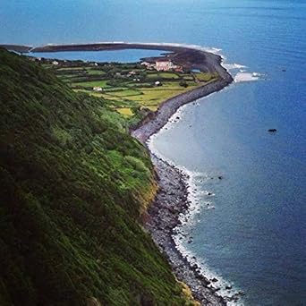 Tuna Fillet In Olive Oil With Basil 3 Tins X 120 G, Santa Catarina / Portugal : Grocery & Gourmet Food