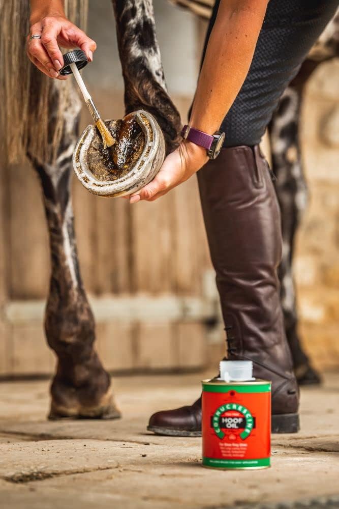 Carr & Day & Martin Tea Tree Hoof Oil 500ml : Amazon.co.uk: Pet Supplies