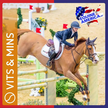 Equine America Horse Treat Multi Vitamin Supplement