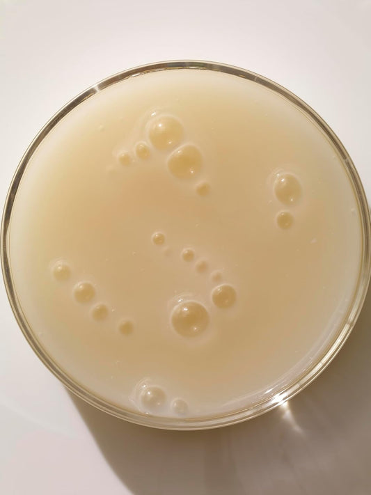 Arkive The Root-Ine Scalp Serum 50Ml - Dandruff Scalp Treatment Hair Oil - Vegan Hair Serum For Hair Growth - Dry Scalp Oil I Dry Scalp Treatments