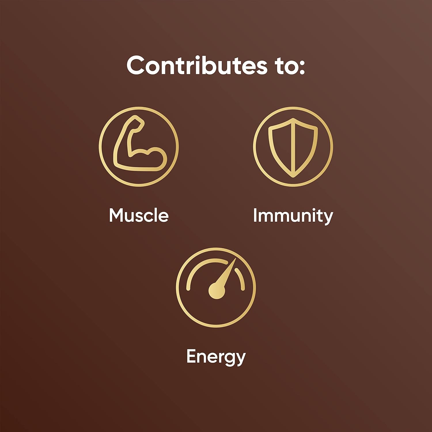 Naturya Organic Cacao Maca Overnight Oats - Gluten-Free with Hemp Protein, Rich in Magnesium, Vegan, No Added Sugar - 600g : Amazon.co.uk: Grocery