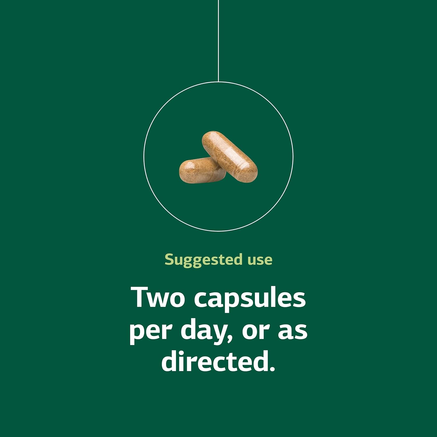 Standard Process Inc. Neuroplex - Whole Food Nervous System Supplements, Brain Health And Brain Support With Thiamin, Spanish Moss, Riboflavin, Calcium Lactate, Vitamin B6, Niacin - 90 Capsules : Health & Household