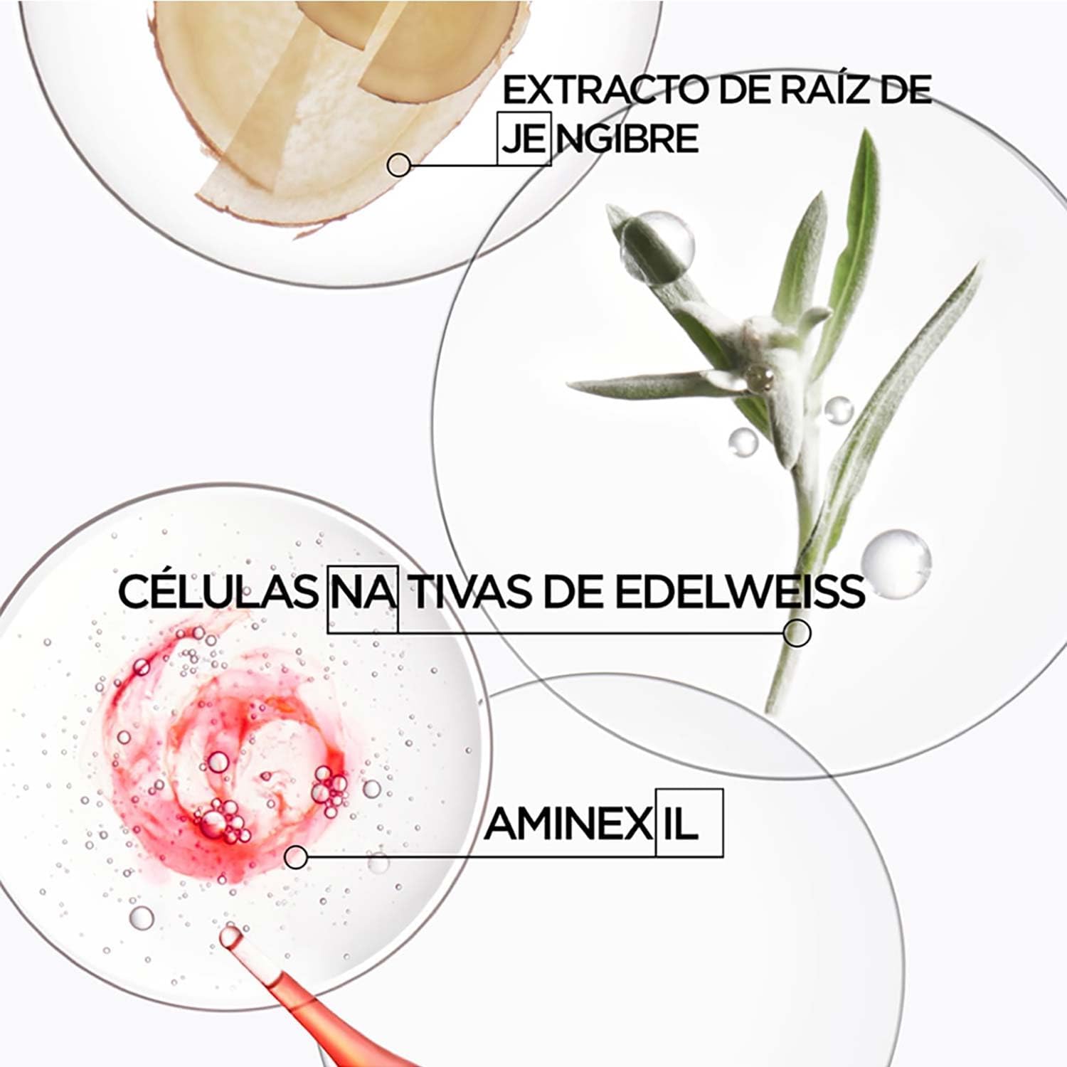 Kérastase Genesis, Anti Hair-fall Strengthening Treatment, For Weakened Hair, With Ginger Root and Edelweiss Flower, Ampoules Cure Anti-Chute Fortifiantes, 10x6 ml : Amazon.co.uk: Beauty